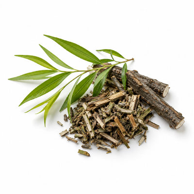 Willow Bark