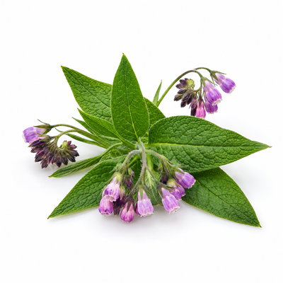 Allantoin